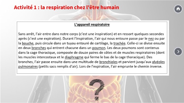 Copie - 5°1 L2 act 1 et 2 | Genially