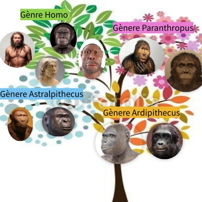 Essential Square Interactive Image | Genially
