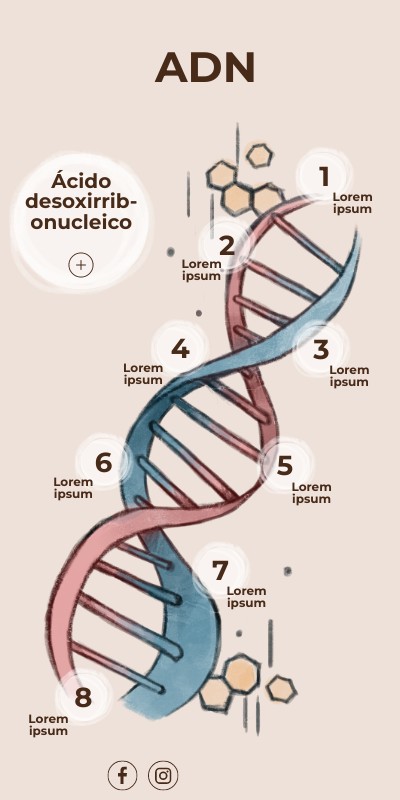 INFO VERTICAL ADN | Genially