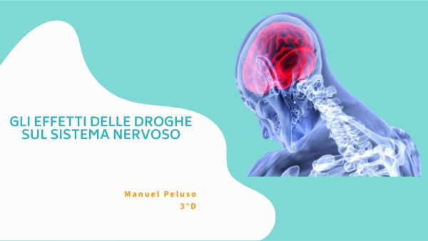 Gli Effetti Della Droga Sul Sistema Nervoso Tesina Terza Media Effetti delle droghe sul sistema nervoso | Genially