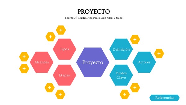 Proyecto
