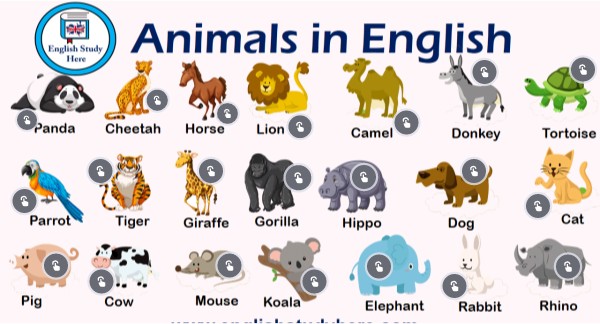 Animals | Genially