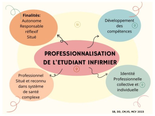 La Professionnalisation de l'étudiant infirmier | Genially