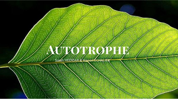 Autotrophie