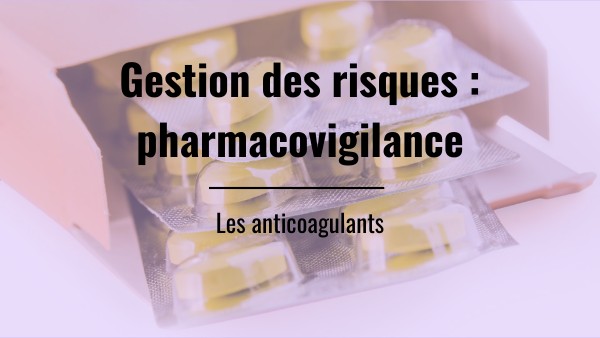 Outil gestion des risques | Genially