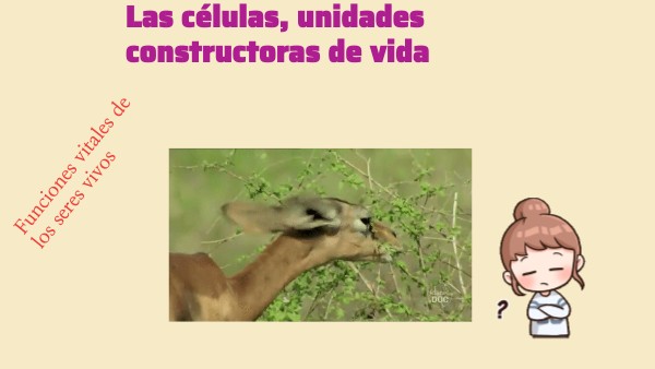 LAS CÉLULAS, UNIDADES CONSTRUCTORAS DE VIDA 1 | Genially