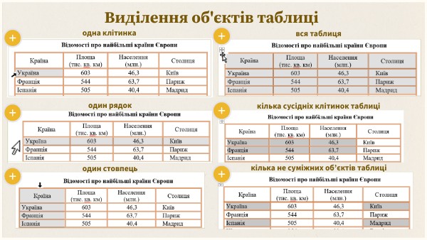 Виділення об'єктів таблиці у текстовому документі