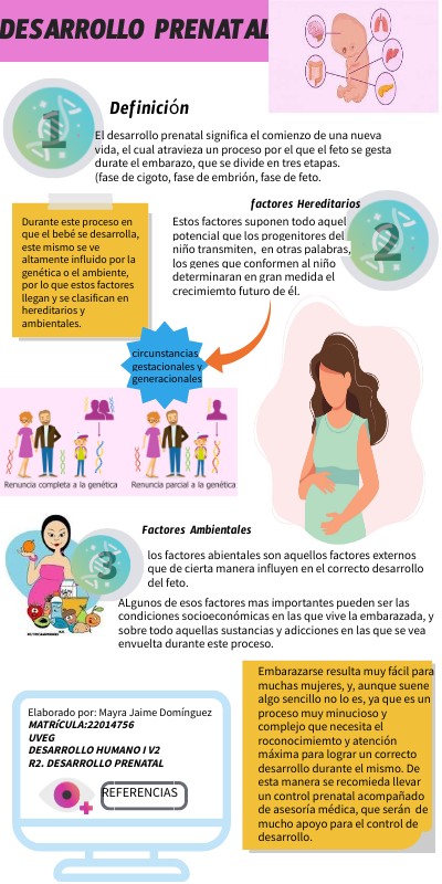 infografia del desarrollo prenatal | Genially