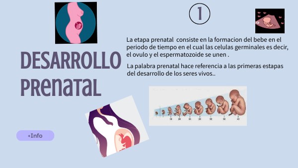 Desarrollo prenatal | Genially