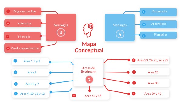 Mapa Conceptual Genially