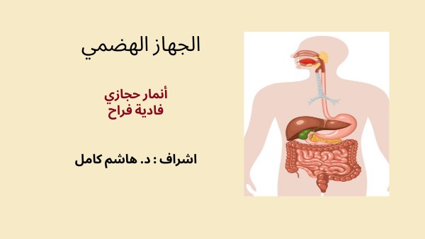 HUMAN BODY PRESENTATION