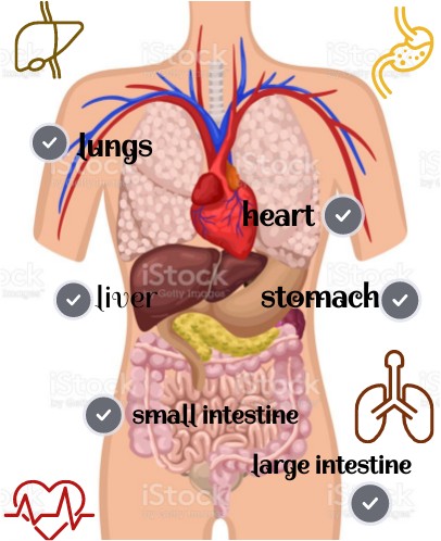 Interactive image | Genially