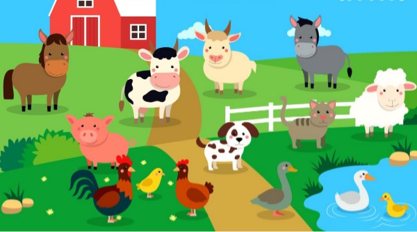 Farm Animals | Genially