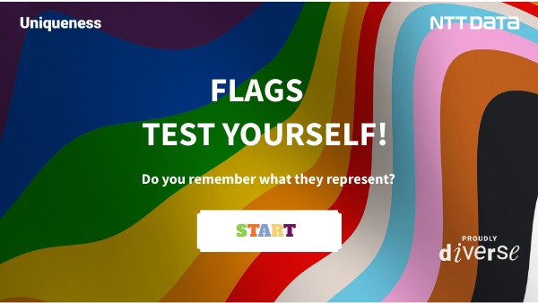 PRIDE MONTH FLAGS