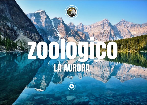 NATURE INTERACTIVE IMAGE