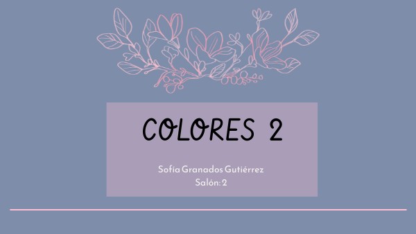 Color 2 Sofía Granados