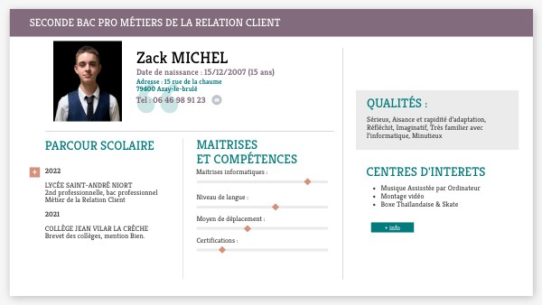 Copie - Cv Interactif