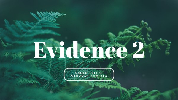 Evidence 2