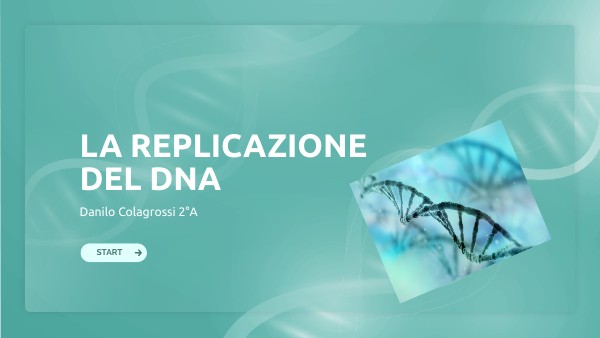 IL DNA | Genially