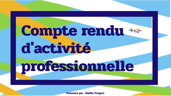 Compte rendu d'activité profesionnelle