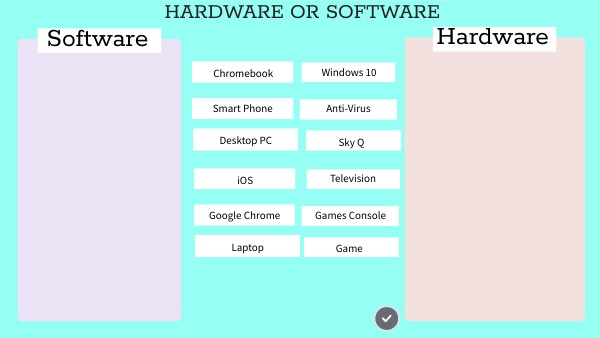 Software or Hardware