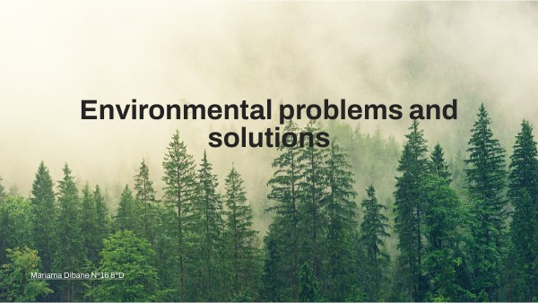 Minimal Presentation Genially