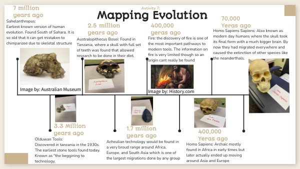 COLOR EDU TIMELINE | Genially