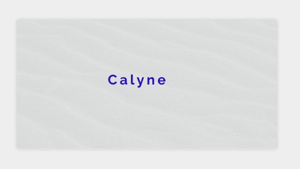 Calyne presentation