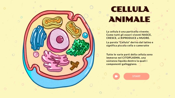 PARTI DELLA CELLULA ANIMALE | Genially