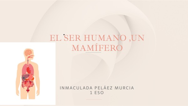 El ser humano un mamífero