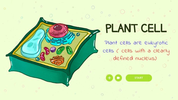 PARTS OF THE PLANT CELL