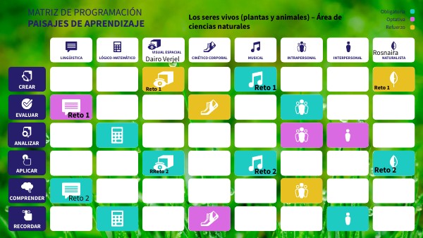 Matriz de programación | Genially