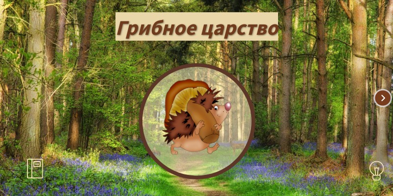 Грибы