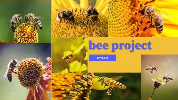 PITCH BEE PROJECT | Genially