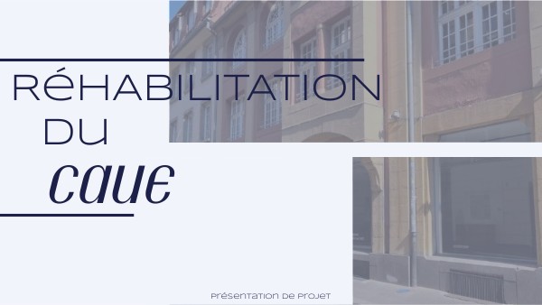 Copie - BASIC PRESENTATION | Genially