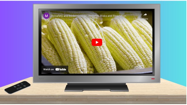 Video Topic 30 Lesson 5 8th | Genially