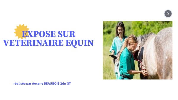 LES MÉTIERS DU CHEVAL - LE VETERINAIRE EQUIN