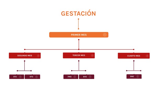 CONCEPT MAP BOXES | Genially