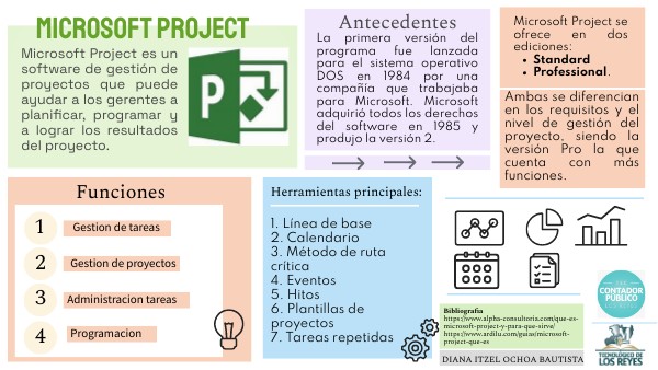 MICROSOFT PROJECT