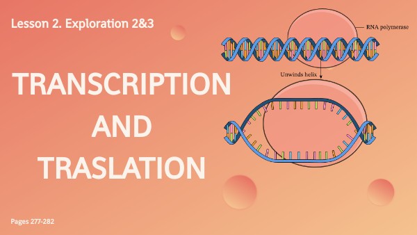 Biology 2BGU_Class 13&17-02-23