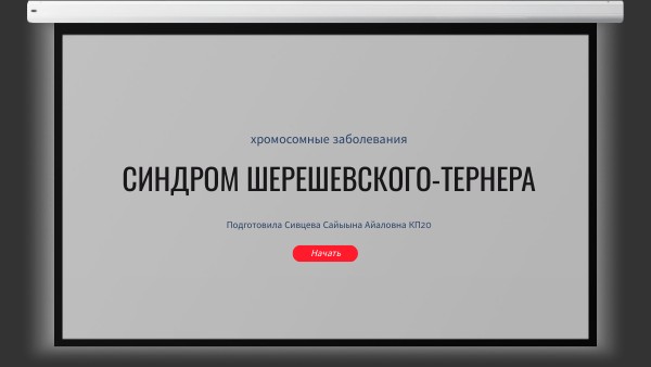 Copy - PROJECTION PRESENTATION | Genially