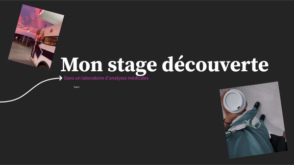 Dossier interactive basique