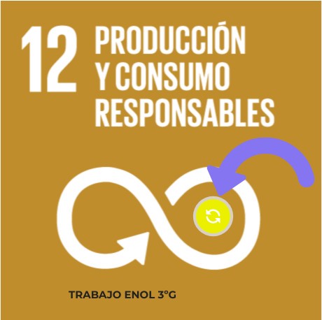 ODS 12 | Genially