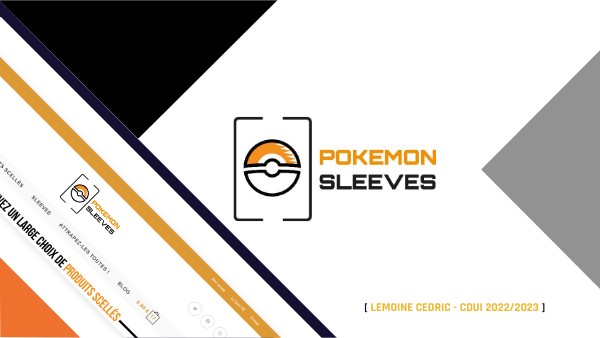 Présentation Pokémon Sleeves