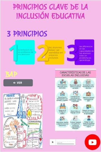PRINCIPIOS DE INCLUSION