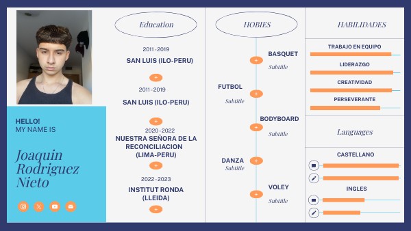 Infographic Data CV