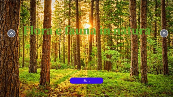 Copia - DIGITAL BASIC PRESENTATION | Genially