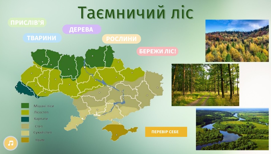 ТАЄМНИЧИЙ ЛІС