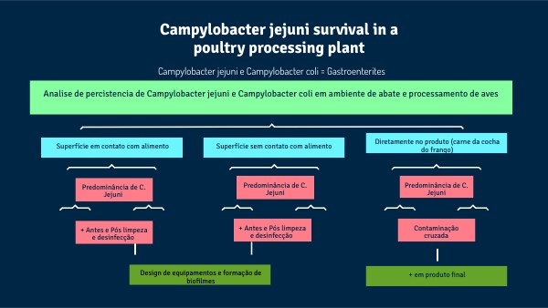 UNIVERSITY CONCEPT MAP