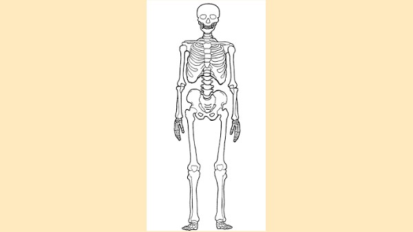 BODY PARTS | Genially